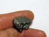 METEORITE  Campo del Cielo (CDC8) 