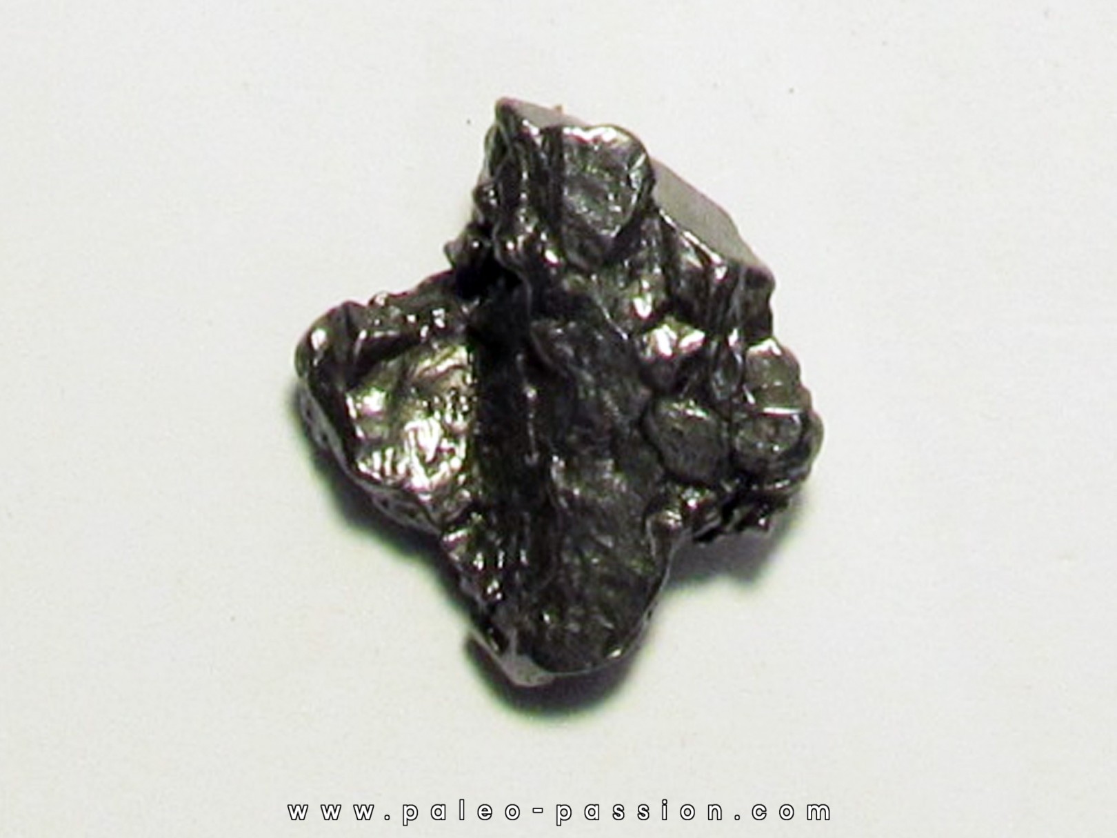 METEORITE  Campo del Cielo (CDC9) 