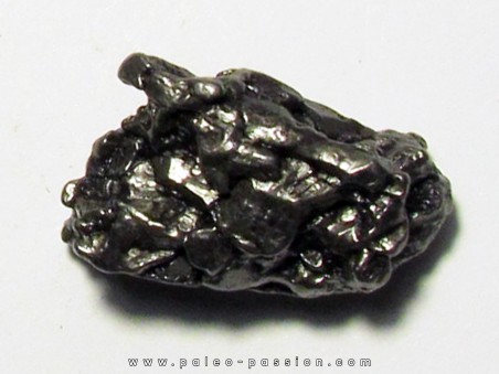 METEORITE  Campo del Cielo (CDC15) 