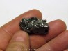 METEORITE  Campo del Cielo (CDC15) 