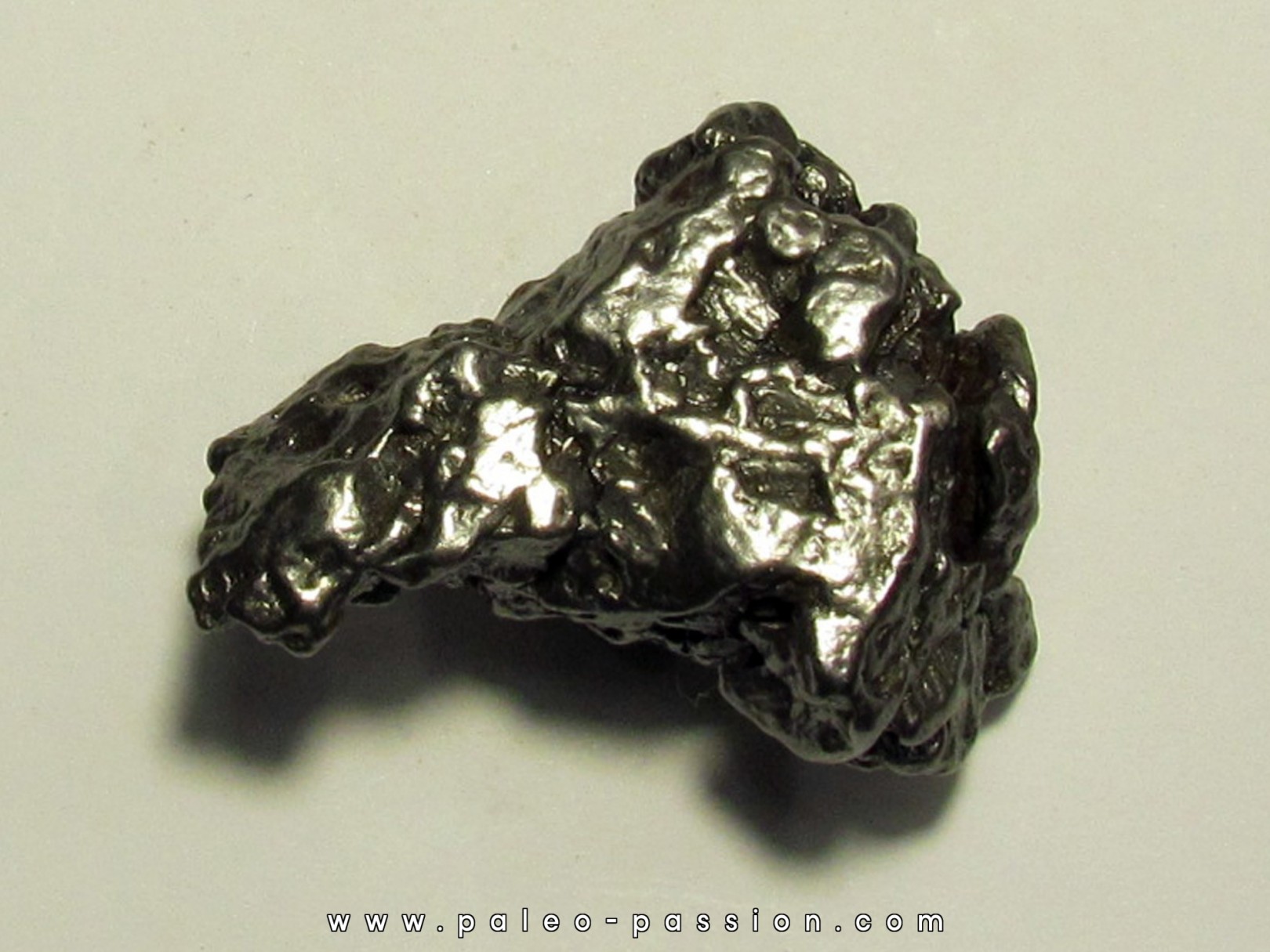 METEORITE  Campo del Cielo (CDC17) 