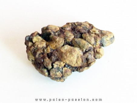 METEORITE pallasite SERICHO (13)