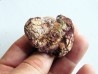coprolith - cretaceous - kem-kem - MOROCCO (6) coprolith - cretaceous - kem-kem - MOROCCO (6)