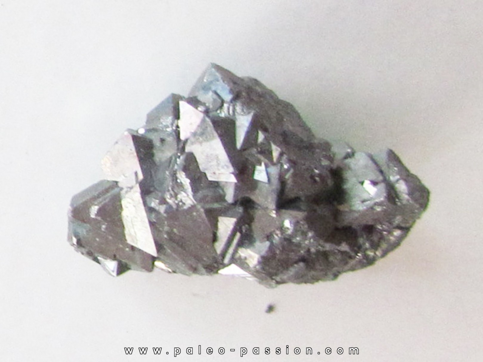 Gersdorffite - Bou Azzer Maroc (2) Gersdorffite - Bou Azzer Maroc (2)