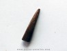 PTEROSAUR tooth: SIROCCOPTERYX (4) PTEROSAUR tooth: SIROCCOPTERYX (4)