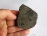 argyropelecus cosmovicii argyropelecus cosmovicii
