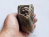 MAMMOTH TOOTH:  mammuthus primigenius (9)