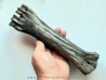 metatarsal  Bison priscus (2)