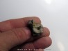 eryops megacephalus vertebra eryops megacephalus vertebra