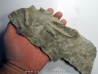 dinosaur foot print : Coesolaurichnus grancieri dinosaur foot print : Coesolaurichnus grancieri
