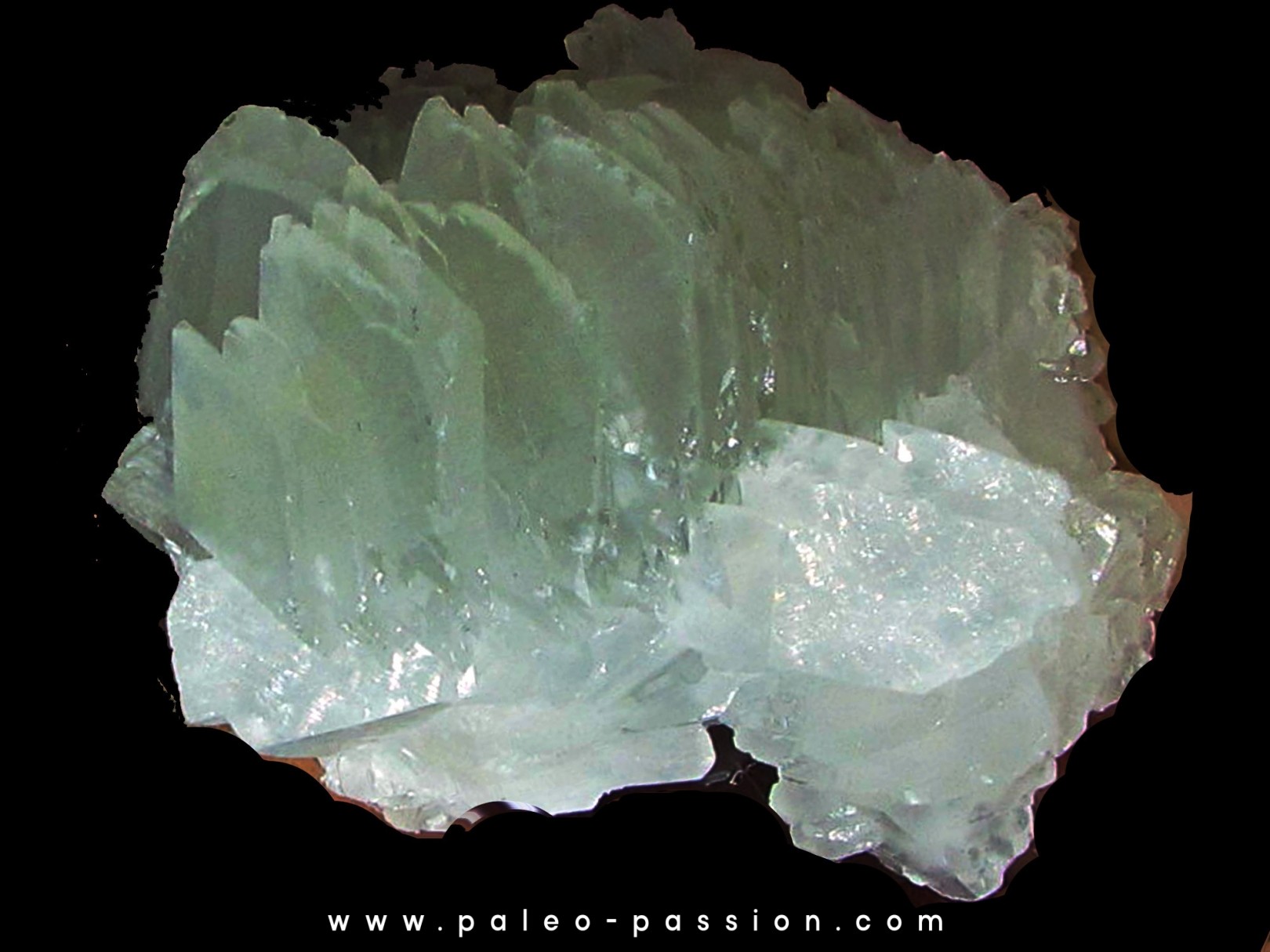 Calcite "pile d'assiettes" // Hayange, Moselle - FRANCE Calcite "pile d'assiettes" // Hayange, Moselle - FRANCE