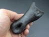 oviraptor toe preserved with traces of predation - Anzu Wyliei oviraptor toe preserved with traces of predation - Anzu Wyliei