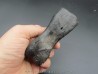 oviraptor toe preserved with traces of predation - Anzu Wyliei oviraptor toe preserved with traces of predation - Anzu Wyliei