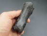 oviraptor toe preserved with traces of predation - Anzu Wyliei oviraptor toe preserved with traces of predation - Anzu Wyliei