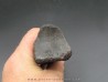 oviraptor toe preserved with traces of predation - Anzu Wyliei oviraptor toe preserved with traces of predation - Anzu Wyliei