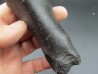 oviraptor toe preserved with traces of predation - Anzu Wyliei oviraptor toe preserved with traces of predation - Anzu Wyliei
