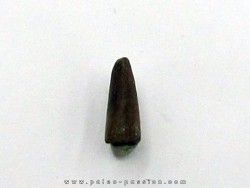 Kilestus aristotocus