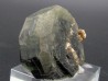 Apatite sur Muscovite - Minas Gerais - Bresil Apatite sur Muscovite - Minas Gerais - Bresil