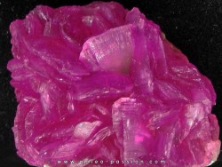 Cobatocalcite  Katanga, Rép. démo. du Congo.