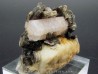 Apatite sur Muscovite - Gilgit Division – PAKISTAN Apatite sur Muscovite - Gilgit Division – PAKISTAN