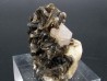 Apatite sur Muscovite - Gilgit Division – PAKISTAN Apatite sur Muscovite - Gilgit Division – PAKISTAN