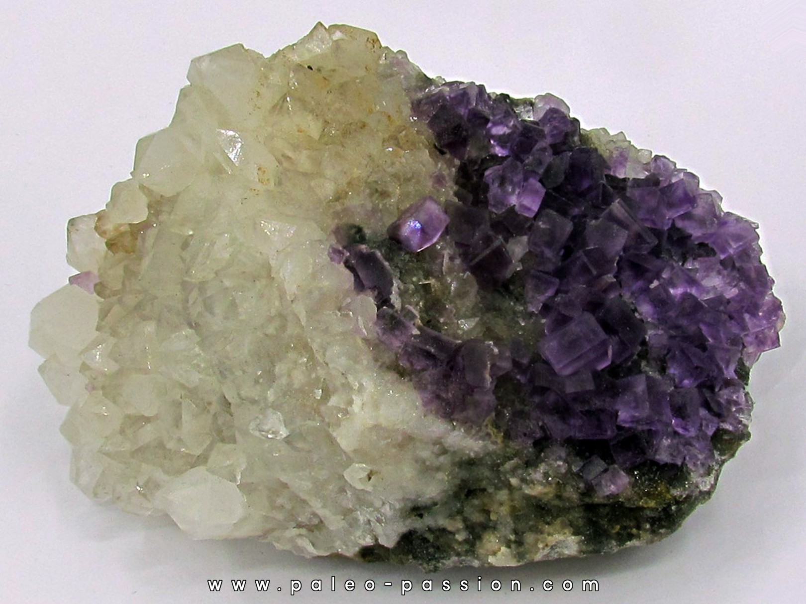 Fluorine violette & Quartz - Berbes, Espagne Fluorine violette & Quartz - Berbes, Espagne