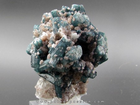 Tourmaline bleue & Quartz - Minas Gerais - Bresil