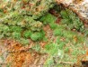 Pyromorphite  from Saint Salvy