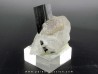Tourmaline schorl, apatite & Quartz - Minas Gerais - Brasil