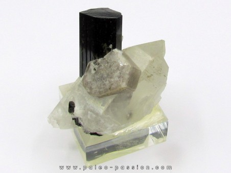 Tourmaline schorl, apatite & Quartz - Minas Gerais - Bresil