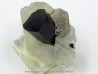 Tourmaline schorl, apatite & Quartz - Minas Gerais - Brasil