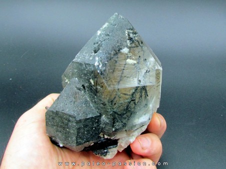 inclusion Quartz: Tourmaline schorl  - Minas Gerais - Brasil