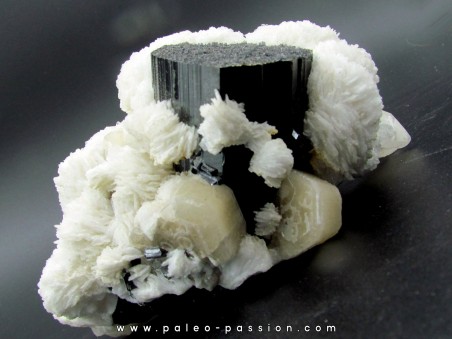 Tourmaline schorl, apatite & Quartz - Minas Gerais - Brasil