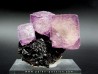 fluorine violette sur sphalerite  - elmwood USA