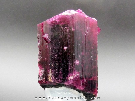 TOURMALINE LIDDICOATITE - Madagascar