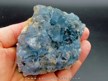 Blue Fluorine - Trebas, Tarn - FRANCE