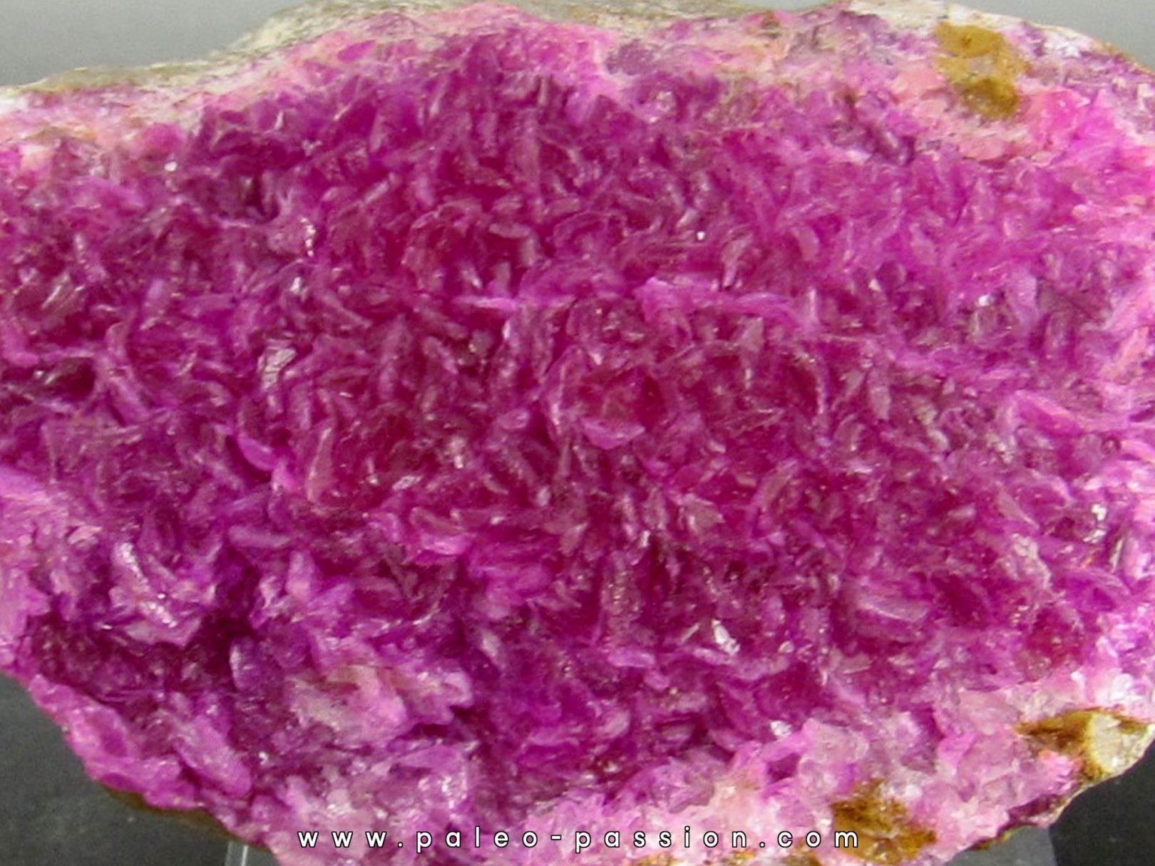 Cobatocalcite  Katanga, Rép. démo. du Congo Cobatocalcite  Katanga, Rép. démo. du Congo