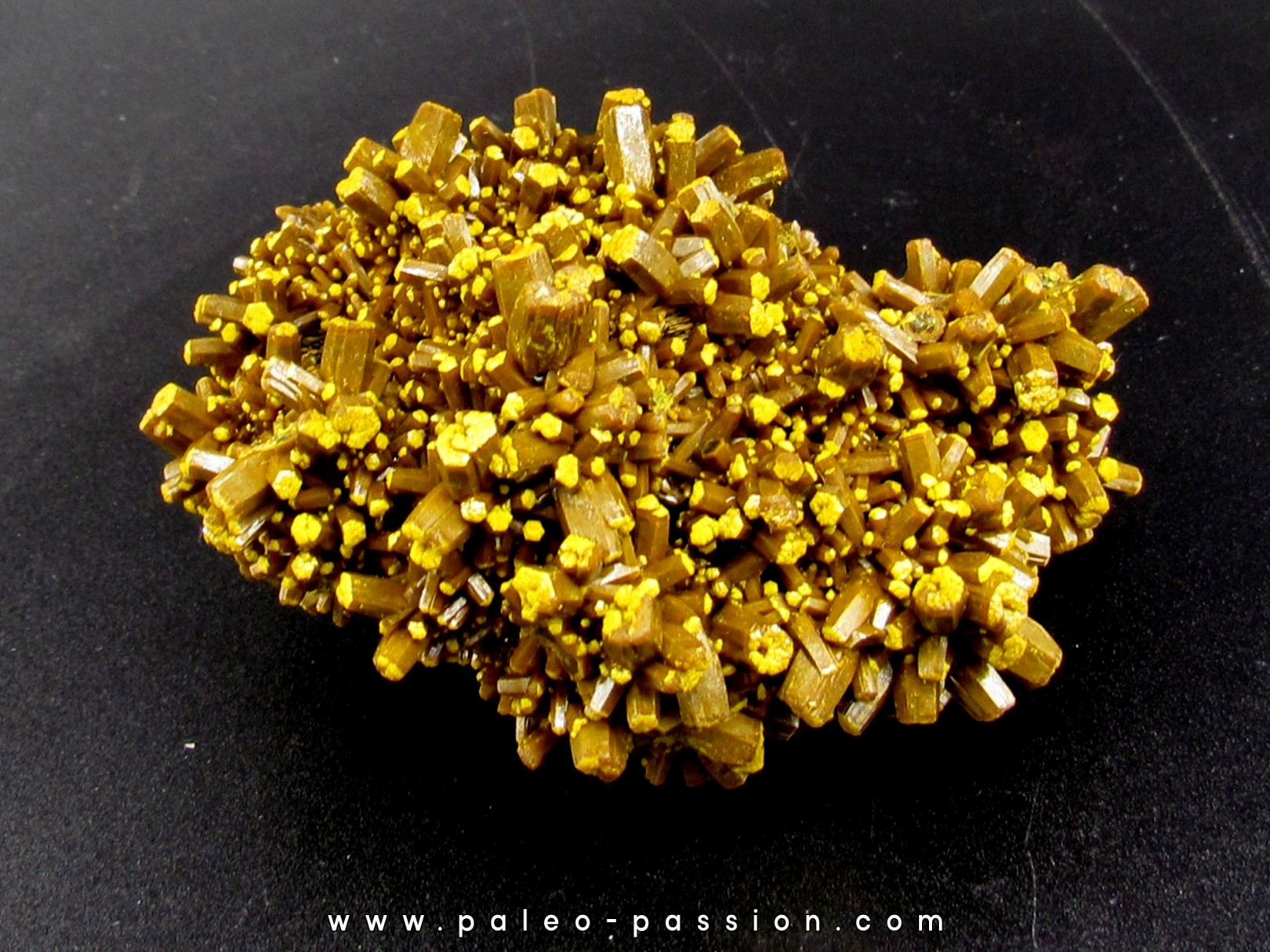 Pyromorphite "mustard touch"  Les Farges, France