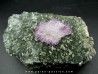 Quartz Amethyste - Karur, Tamil Nadu, INDES Quartz Amethyste - Karur, Tamil Nadu, INDES