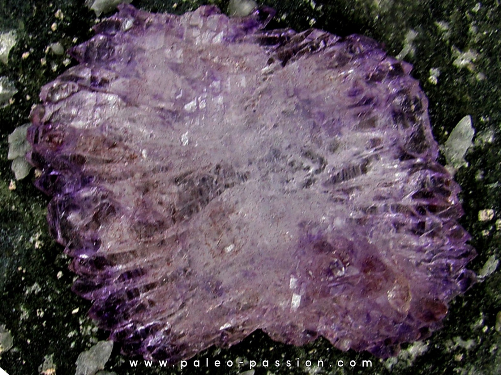 Quartz Amethyst - Karur, Tamil Nadu, INDES Quartz Amethyst - Karur, Tamil Nadu, INDES