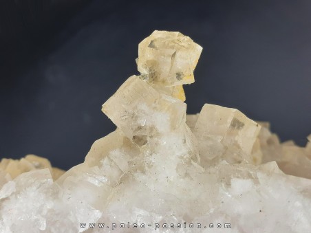 Colorless fluorite in stalactites - Fonsante - FRANCE