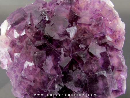 purple fluorite - Fonsante - FRANCE