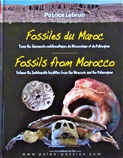 Fossiles du Maroc Volume 2a: Gisements emblématiques du Mésozoïque et du Cénozoïque