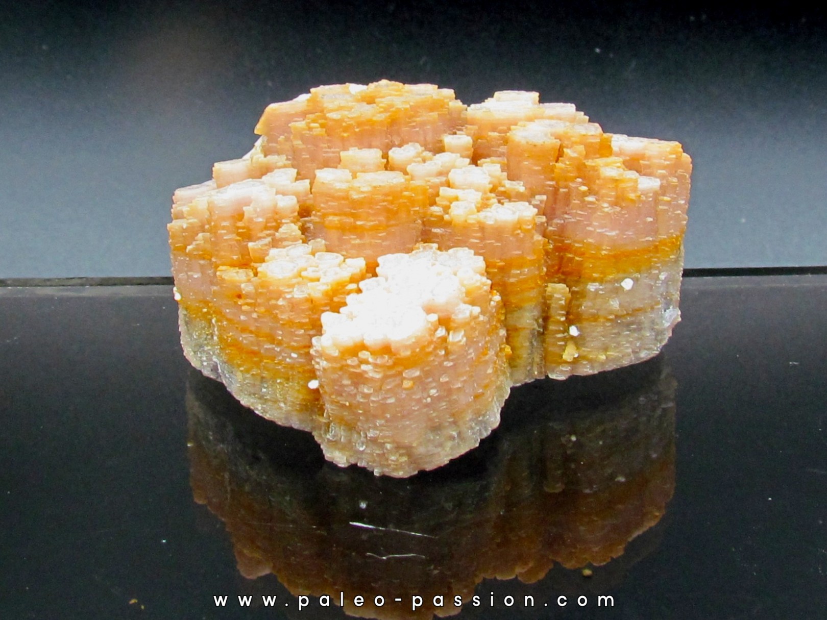 Mica Lepidolite // Betroka, MADAGASCAR Mica Lepidolite // Betroka, MADAGASCAR