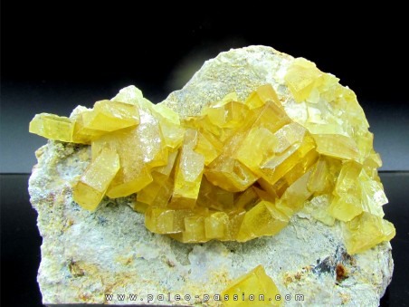 yellow Barytine  - Bou Azzer - Morocco