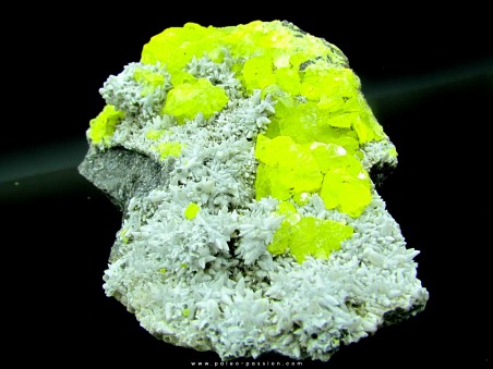 Sulfur crystallized on calcite  - Italia