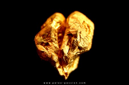 native gold  - Crystallized gold  - France