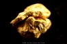 native gold  - Crystallized gold  - France