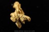 native gold  - Crystallized gold  - France
