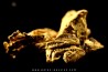 native gold  - Crystallized gold  - France